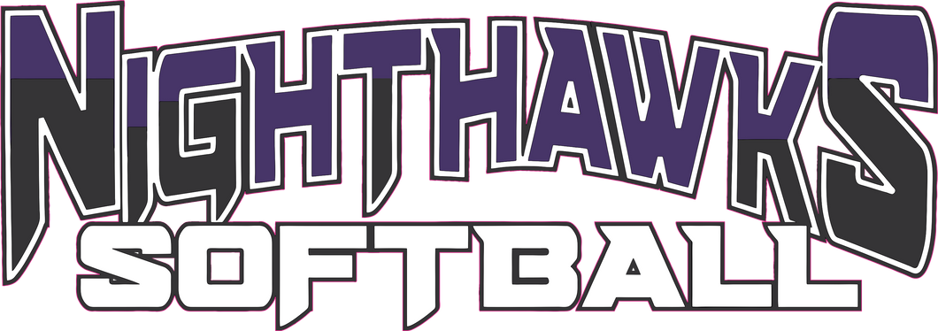 Nighthawk Softball 2